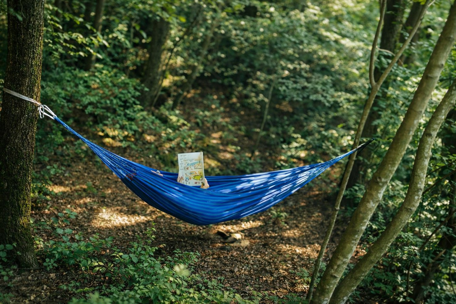 Glamping belltent omringd door groene natuur bij PasneserPark Albanië
