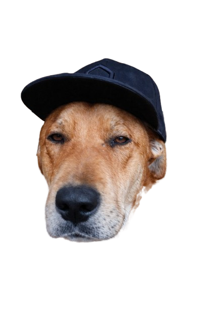 Tito - schaapsherder en tourgids bij PasneserPark